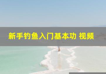 新手钓鱼入门基本功 视频